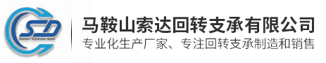 馬鞍山索達(dá)回轉(zhuǎn)支承有限公司